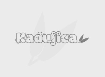 OBAVIJEST O POČETKU PEDAGOŠKE 2025/2026. GODINE